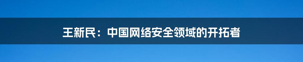 王新民：中国网络安全领域的开拓者