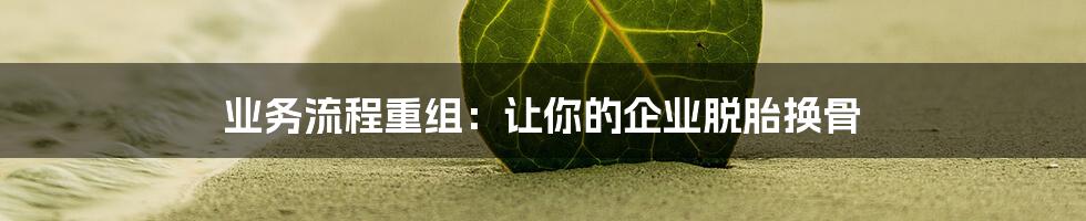 业务流程重组：让你的企业脱胎换骨