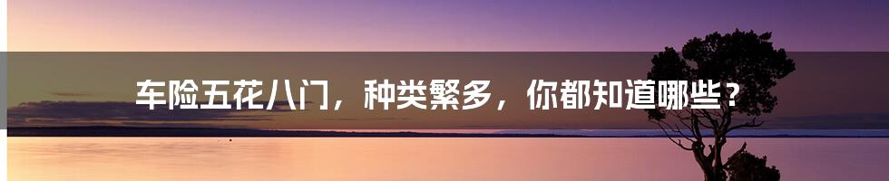 车险五花八门，种类繁多，你都知道哪些？