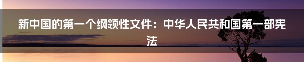 新中国的第一个纲领性文件：中华人民共和国第一部宪法