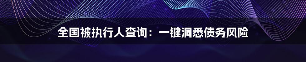 全国被执行人查询：一键洞悉债务风险