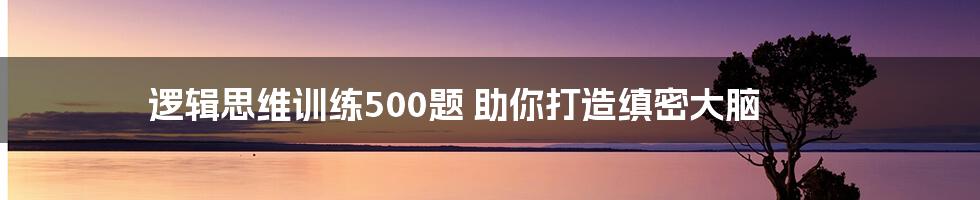 逻辑思维训练500题 助你打造缜密大脑