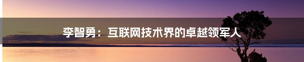 李智勇：互联网技术界的卓越领军人