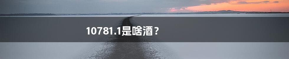 10781.1是啥酒？