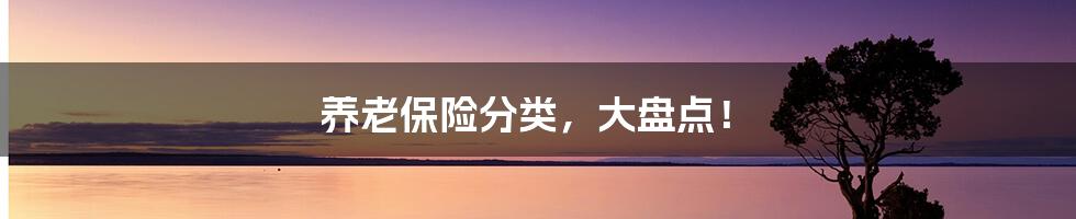 养老保险分类，大盘点！