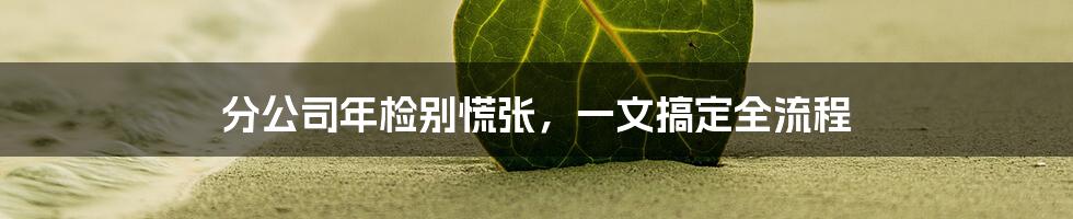 分公司年检别慌张，一文搞定全流程