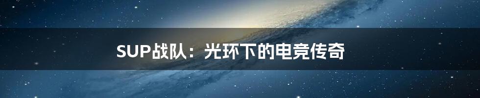 SUP战队：光环下的电竞传奇