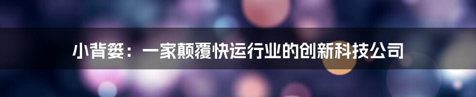 小背篓：一家颠覆快运行业的创新科技公司