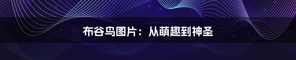 布谷鸟图片：从萌趣到神圣