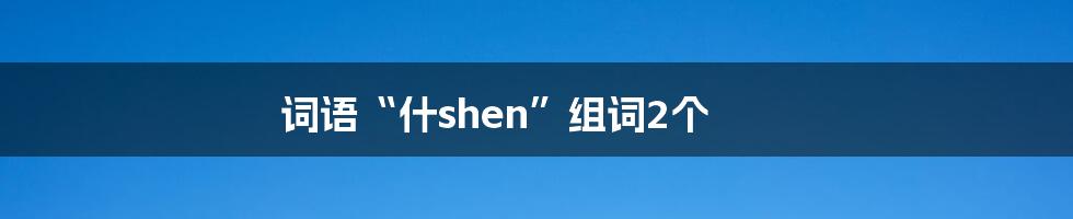 词语“什shen”组词2个