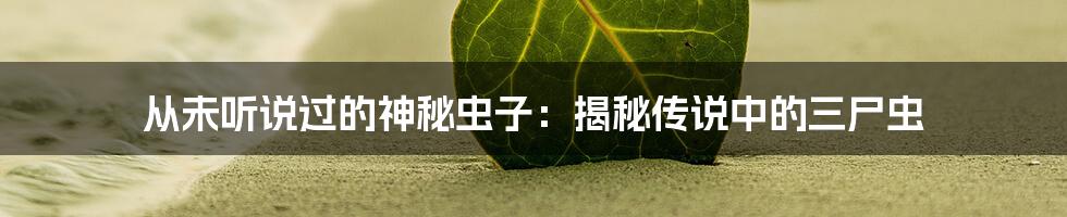 从未听说过的神秘虫子：揭秘传说中的三尸虫