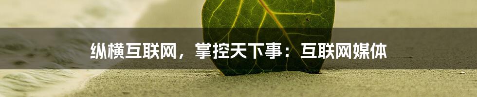 纵横互联网，掌控天下事：互联网媒体