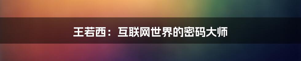 王若西：互联网世界的密码大师