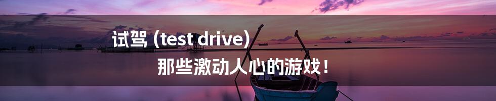 试驾 (test drive) 那些激动人心的游戏！