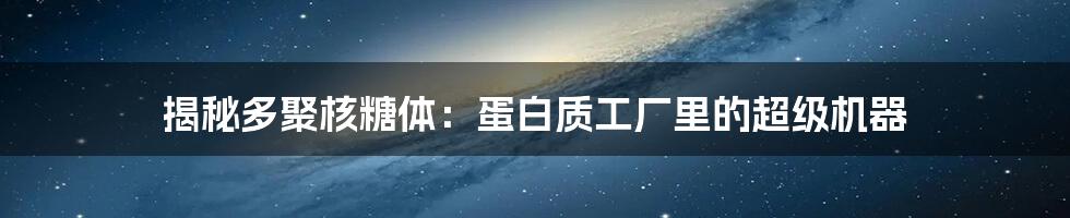 揭秘多聚核糖体：蛋白质工厂里的超级机器