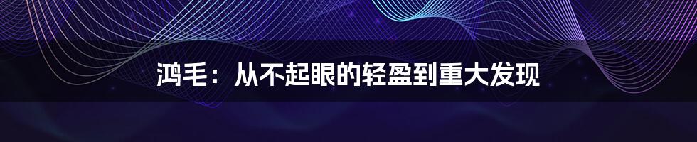 鸿毛：从不起眼的轻盈到重大发现