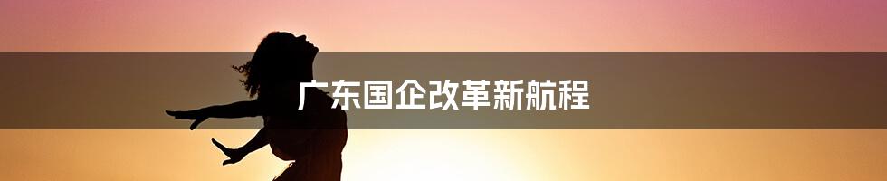 广东国企改革新航程