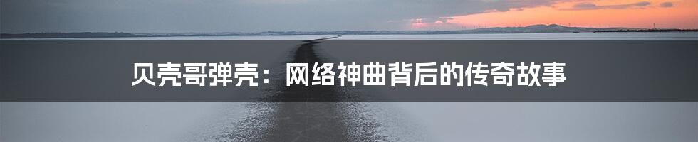 贝壳哥弹壳：网络神曲背后的传奇故事