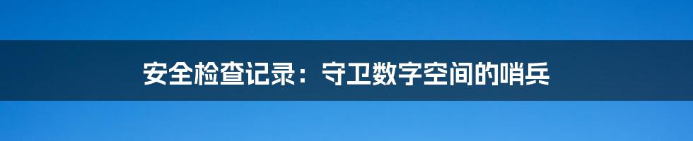 安全检查记录：守卫数字空间的哨兵