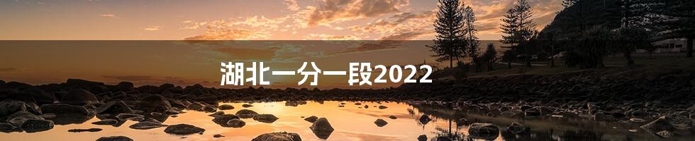 湖北一分一段2022