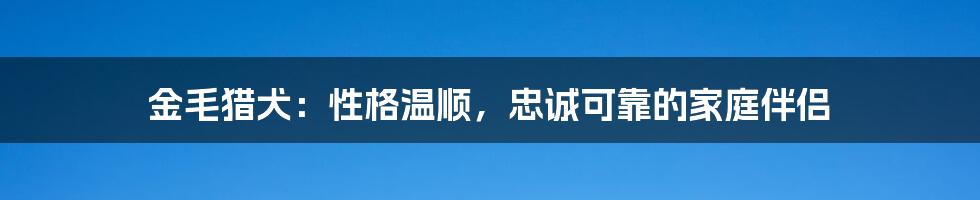 金毛猎犬：性格温顺，忠诚可靠的家庭伴侣