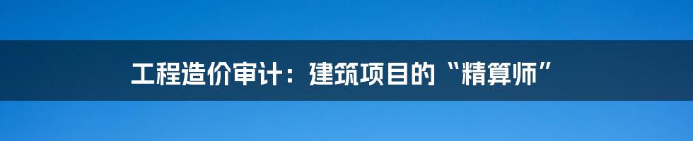 工程造价审计：建筑项目的“精算师”