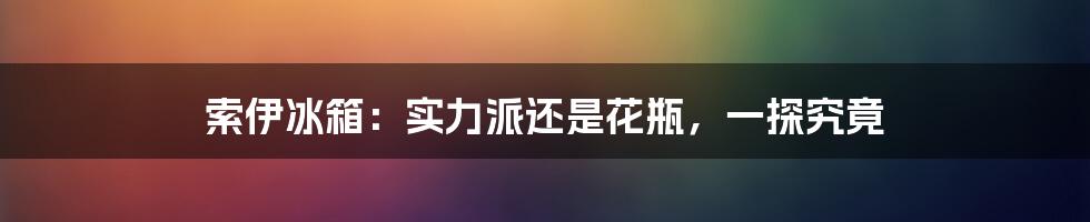 索伊冰箱：实力派还是花瓶，一探究竟