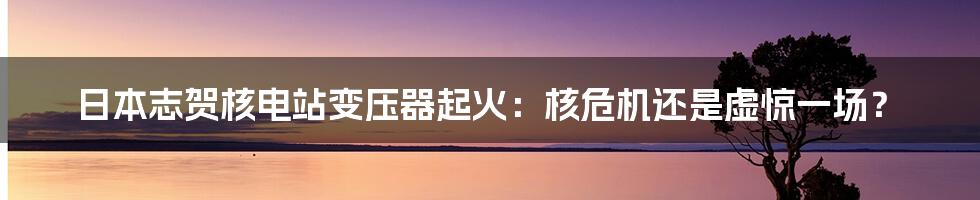 日本志贺核电站变压器起火：核危机还是虚惊一场？