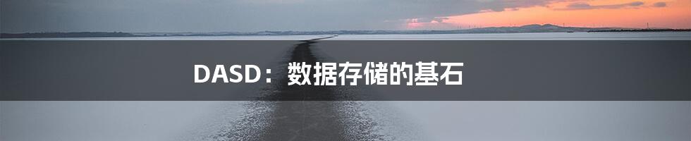 DASD：数据存储的基石