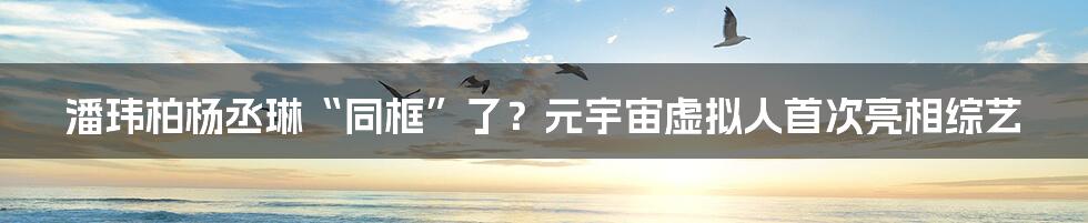 潘玮柏杨丞琳“同框”了？元宇宙虚拟人首次亮相综艺