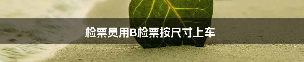 检票员用B检票按尺寸上车