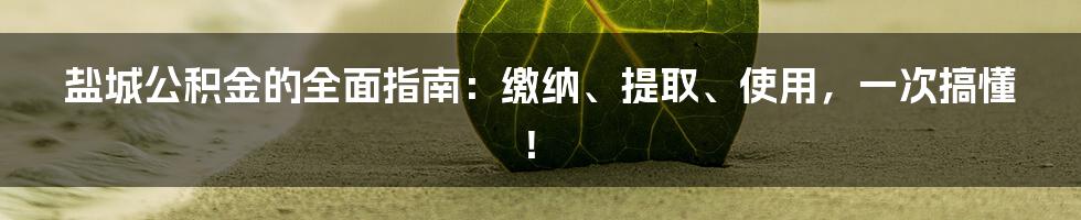 盐城公积金的全面指南：缴纳、提取、使用，一次搞懂！