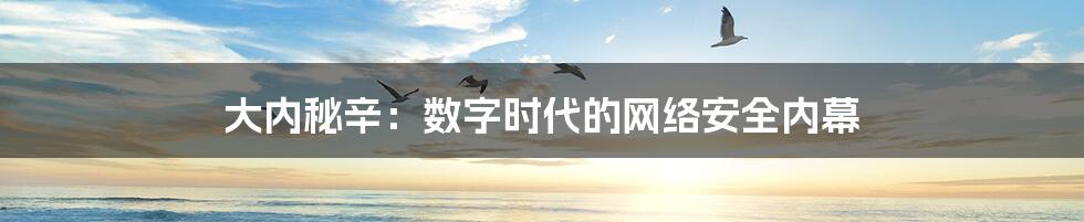 大内秘辛：数字时代的网络安全内幕