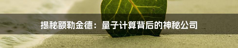 揭秘额勒金德：量子计算背后的神秘公司