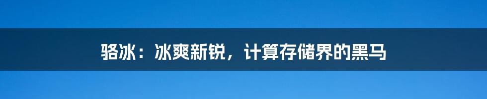 骆冰：冰爽新锐，计算存储界的黑马