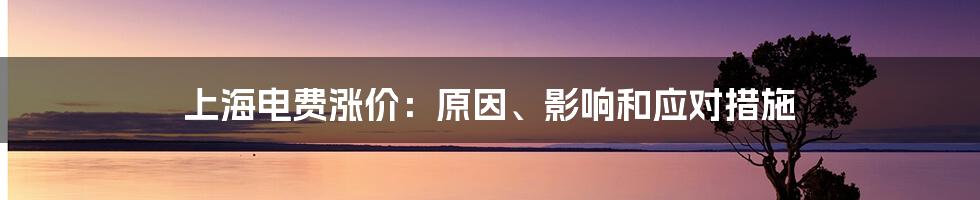 上海电费涨价：原因、影响和应对措施