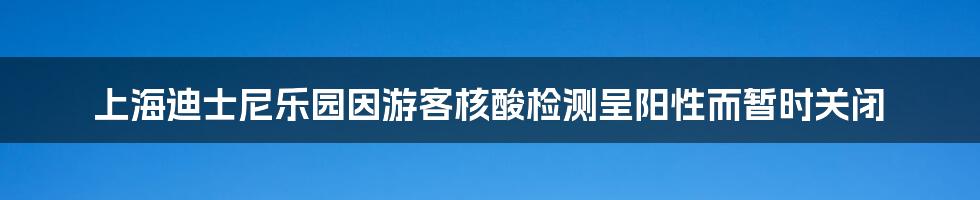 上海迪士尼乐园因游客核酸检测呈阳性而暂时关闭