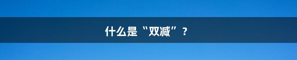 什么是“双减”？