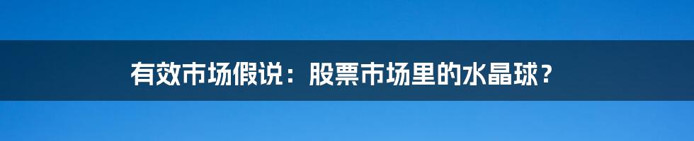 有效市场假说：股票市场里的水晶球？