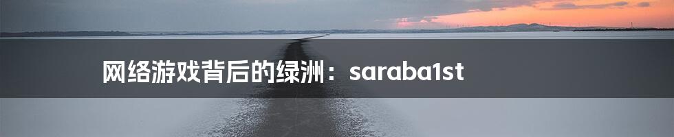 网络游戏背后的绿洲：saraba1st