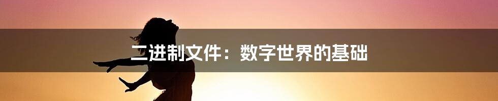 二进制文件：数字世界的基础