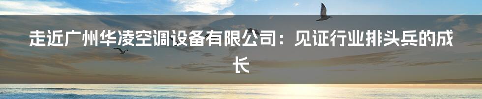 走近广州华凌空调设备有限公司：见证行业排头兵的成长