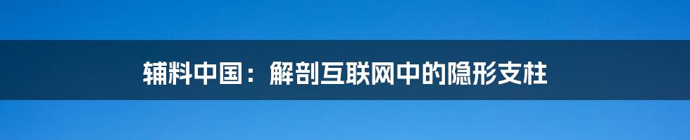 辅料中国：解剖互联网中的隐形支柱