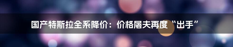 国产特斯拉全系降价：价格屠夫再度“出手”