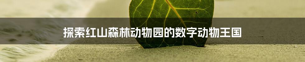 探索红山森林动物园的数字动物王国