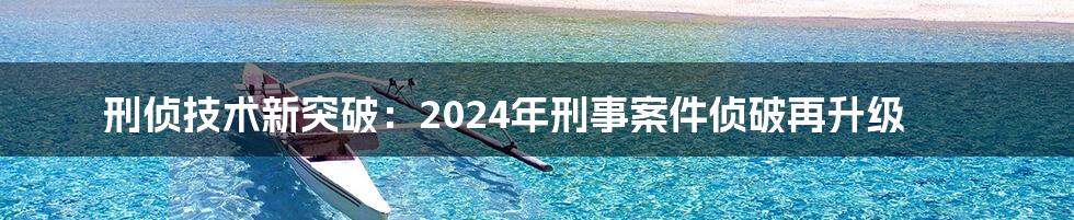 刑侦技术新突破：2024年刑事案件侦破再升级