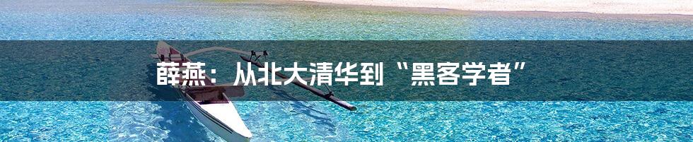 薛燕：从北大清华到“黑客学者”