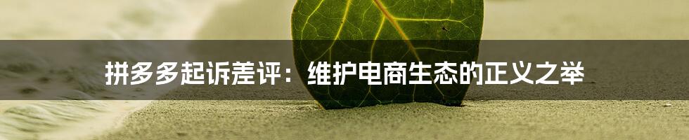 拼多多起诉差评：维护电商生态的正义之举