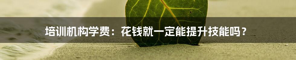 培训机构学费：花钱就一定能提升技能吗？