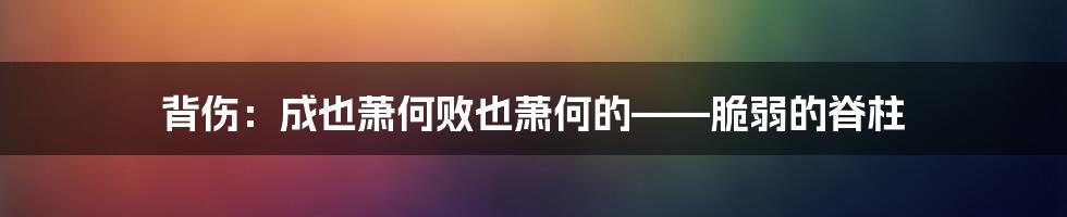 背伤：成也萧何败也萧何的——脆弱的脊柱